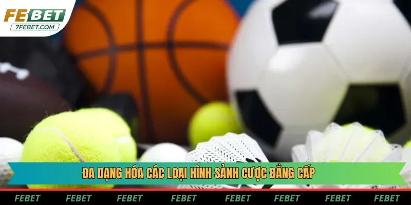 Đối tác thể thao Febet giúp tạo ra sự đa dạng trong loại hình đặt cược Đối tác thể thao Febet giúp tạo ra sự đa dạng trong loại hình đặt cược